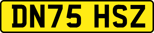 DN75HSZ