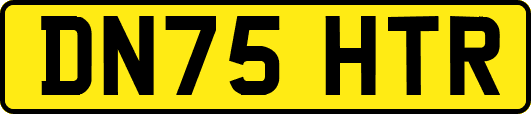 DN75HTR