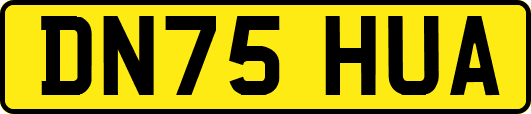 DN75HUA