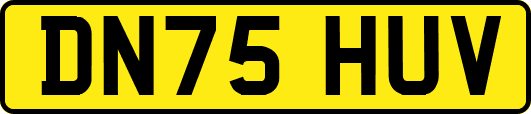 DN75HUV