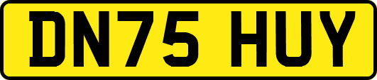 DN75HUY