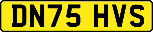 DN75HVS