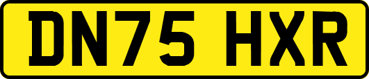 DN75HXR