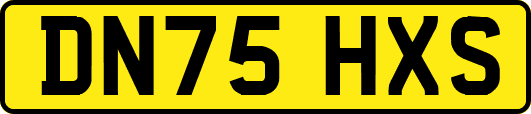 DN75HXS