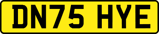 DN75HYE