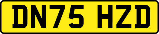 DN75HZD