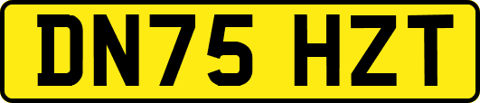 DN75HZT