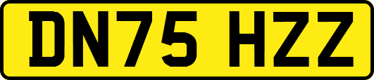 DN75HZZ