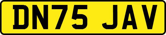 DN75JAV