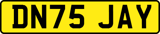 DN75JAY
