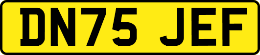 DN75JEF