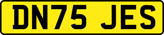 DN75JES