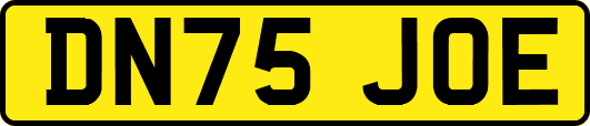 DN75JOE