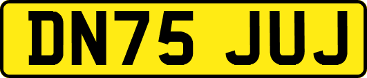 DN75JUJ