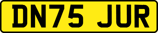 DN75JUR