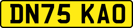 DN75KAO
