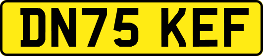 DN75KEF