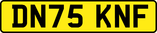DN75KNF