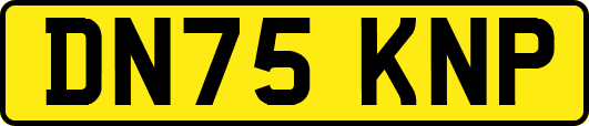 DN75KNP