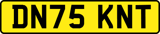 DN75KNT