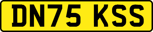 DN75KSS