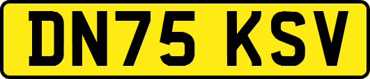 DN75KSV
