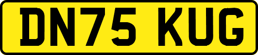DN75KUG