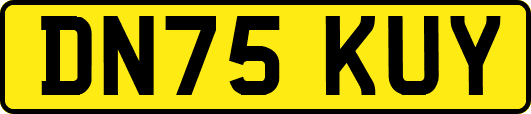 DN75KUY