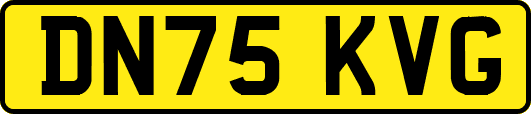 DN75KVG