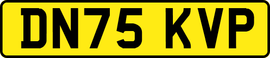 DN75KVP