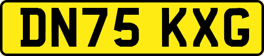 DN75KXG