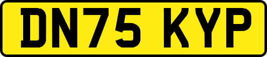 DN75KYP