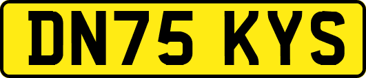 DN75KYS