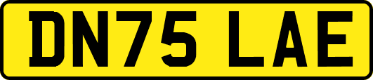 DN75LAE