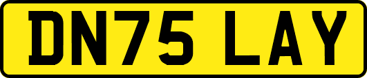 DN75LAY