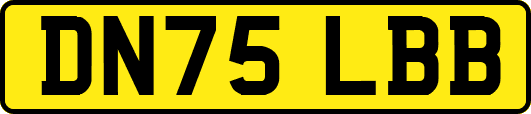 DN75LBB