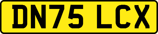 DN75LCX