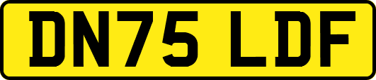 DN75LDF