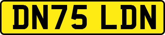 DN75LDN