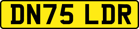 DN75LDR