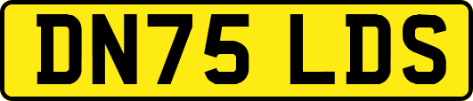 DN75LDS