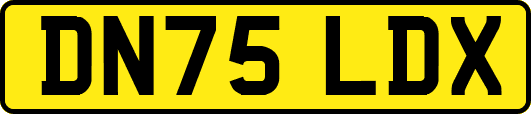 DN75LDX