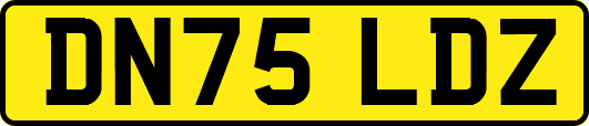 DN75LDZ