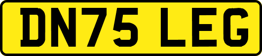 DN75LEG