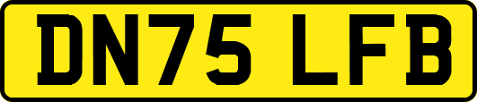 DN75LFB