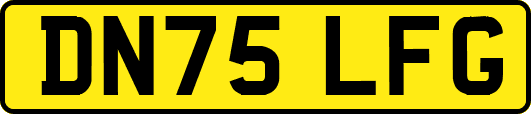 DN75LFG