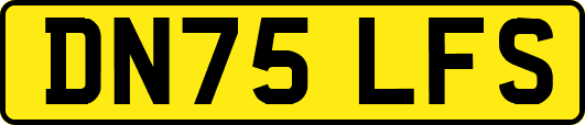DN75LFS