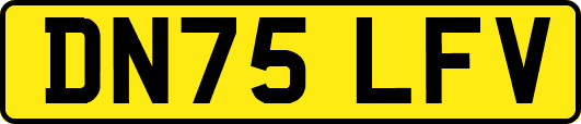 DN75LFV
