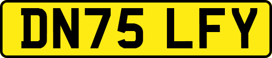 DN75LFY