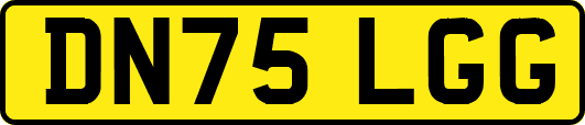 DN75LGG